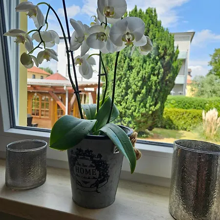 Zentrumsnahes Gaestezimmer In *