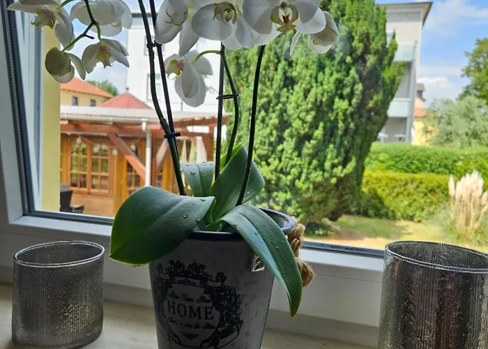 Zentrumsnahes Gaestezimmer In *